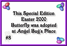 Angelbug.com