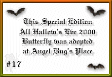 Angelbug.com