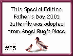 Angelbug.com