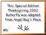 Angelbug.com