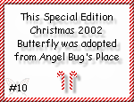 Angelbug.com